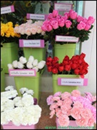 ҹѴ͡Թ Shanel LK Flower Hua Hin Thailand